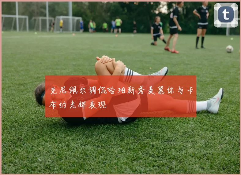 克尼佩尔调侃哈珀新秀羡慕你与卡布的光辉表现